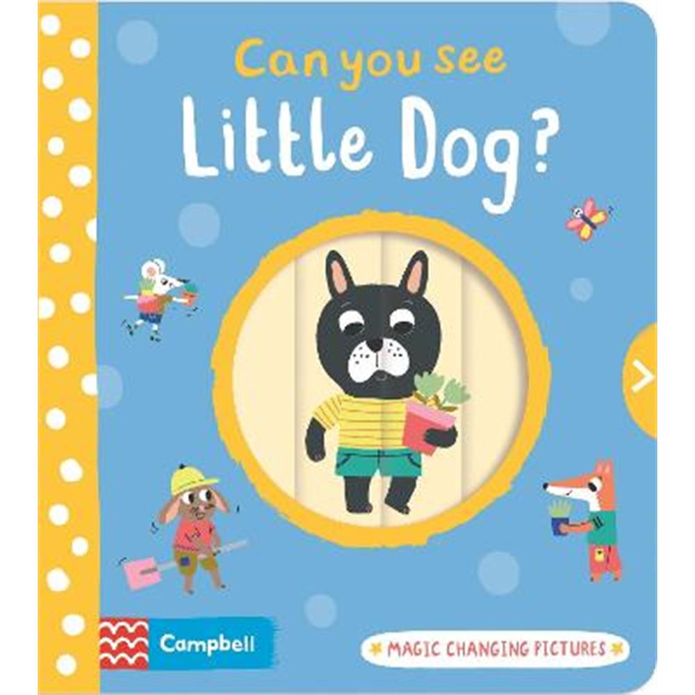 Can You See Little Dog?: Magic changing pictures - Emilie Lapeyre